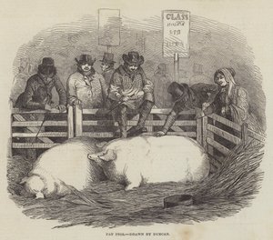 The Smithfield Club Cattle Show